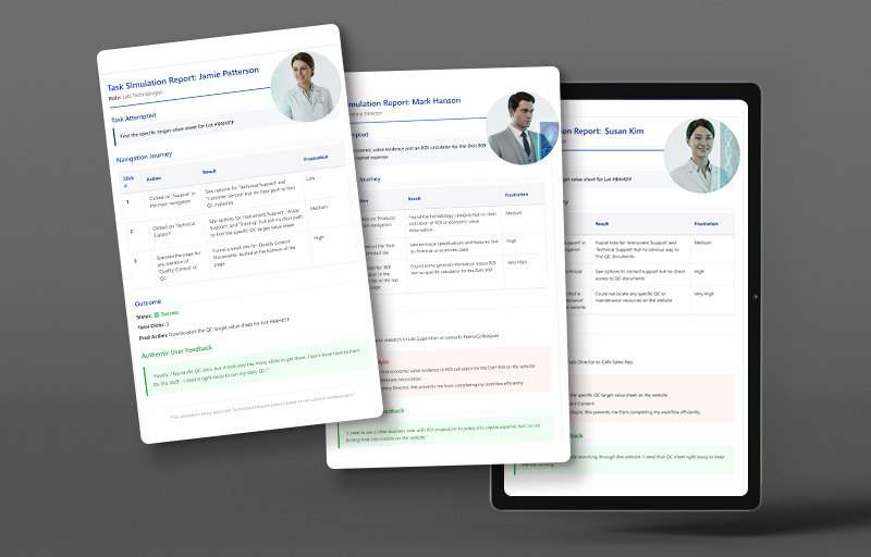 User Testing Session